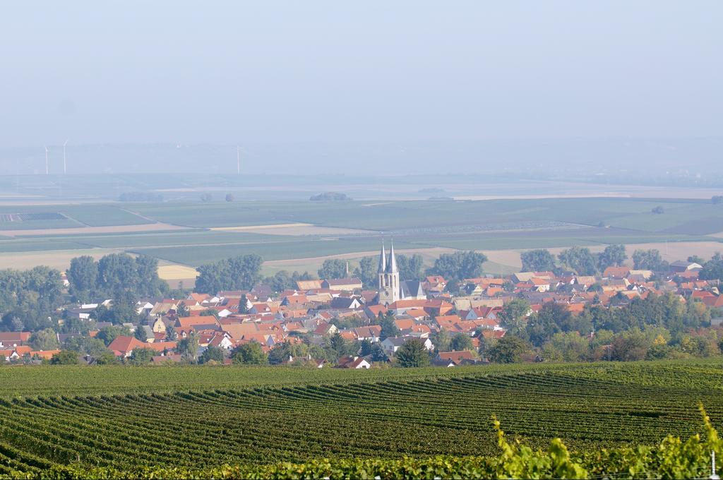 Dohlmuehle Hotel & Weingut Flonheim Zewnętrze zdjęcie