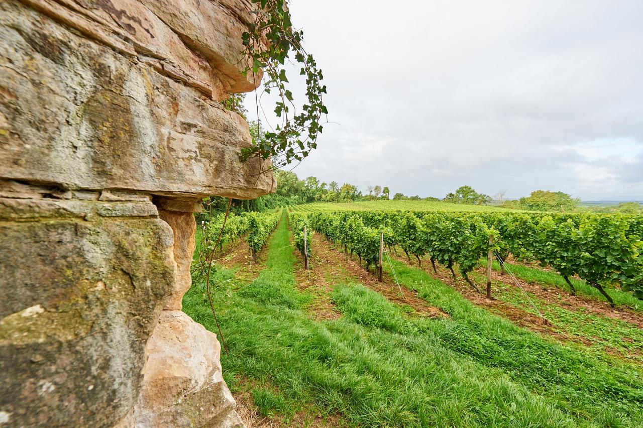 Dohlmuehle Hotel & Weingut Flonheim Zewnętrze zdjęcie